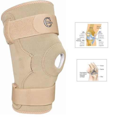 Hinged knee support protector - hinged,